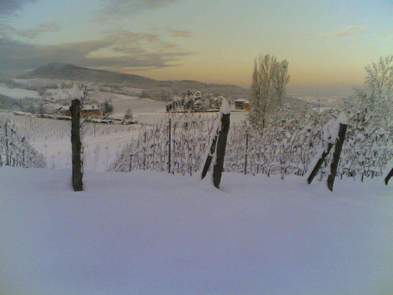 Villa Pallavicini B&B Serravalle Scrivia Kültér fotó