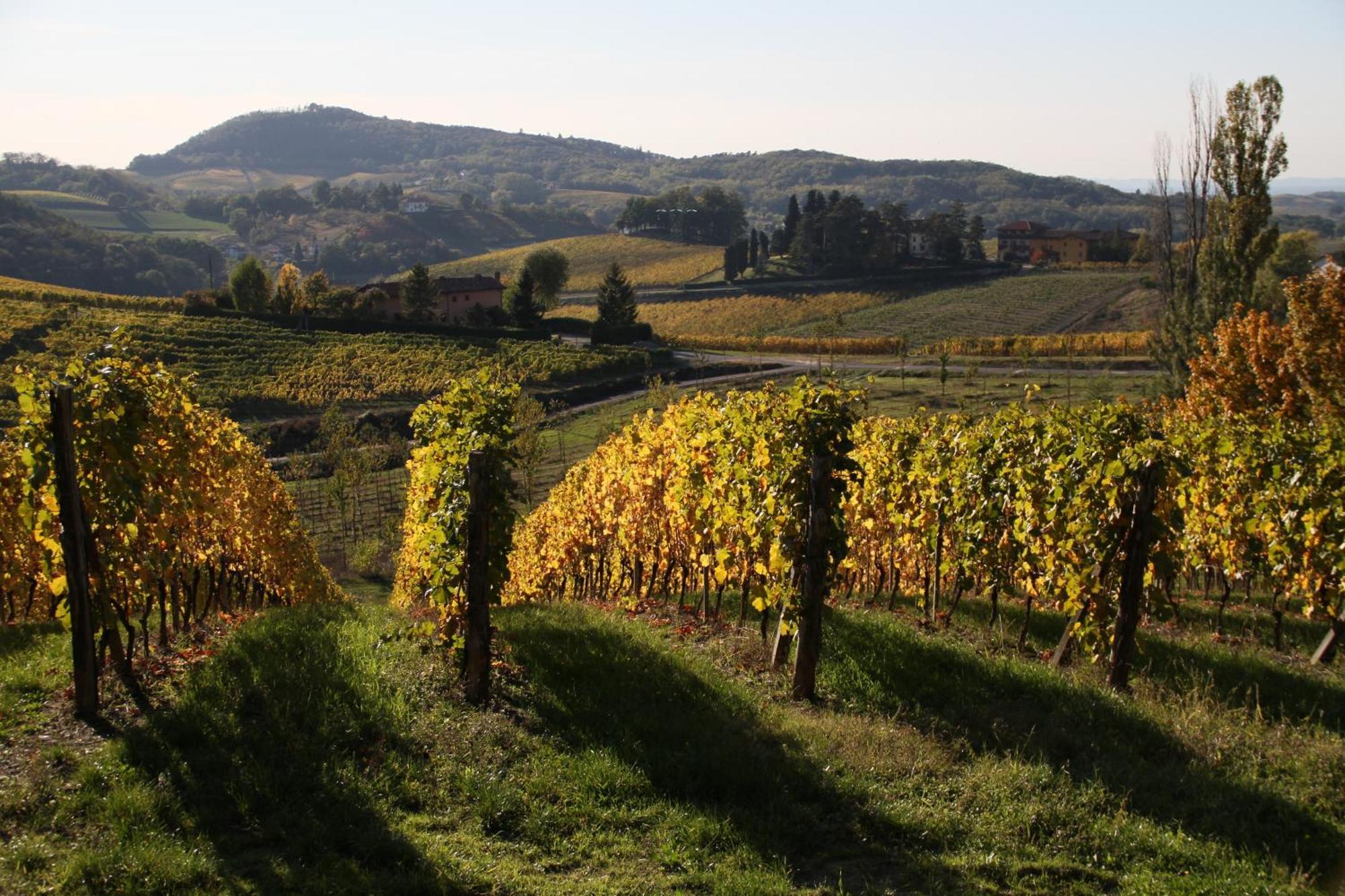 Villa Pallavicini B&B Serravalle Scrivia Kültér fotó