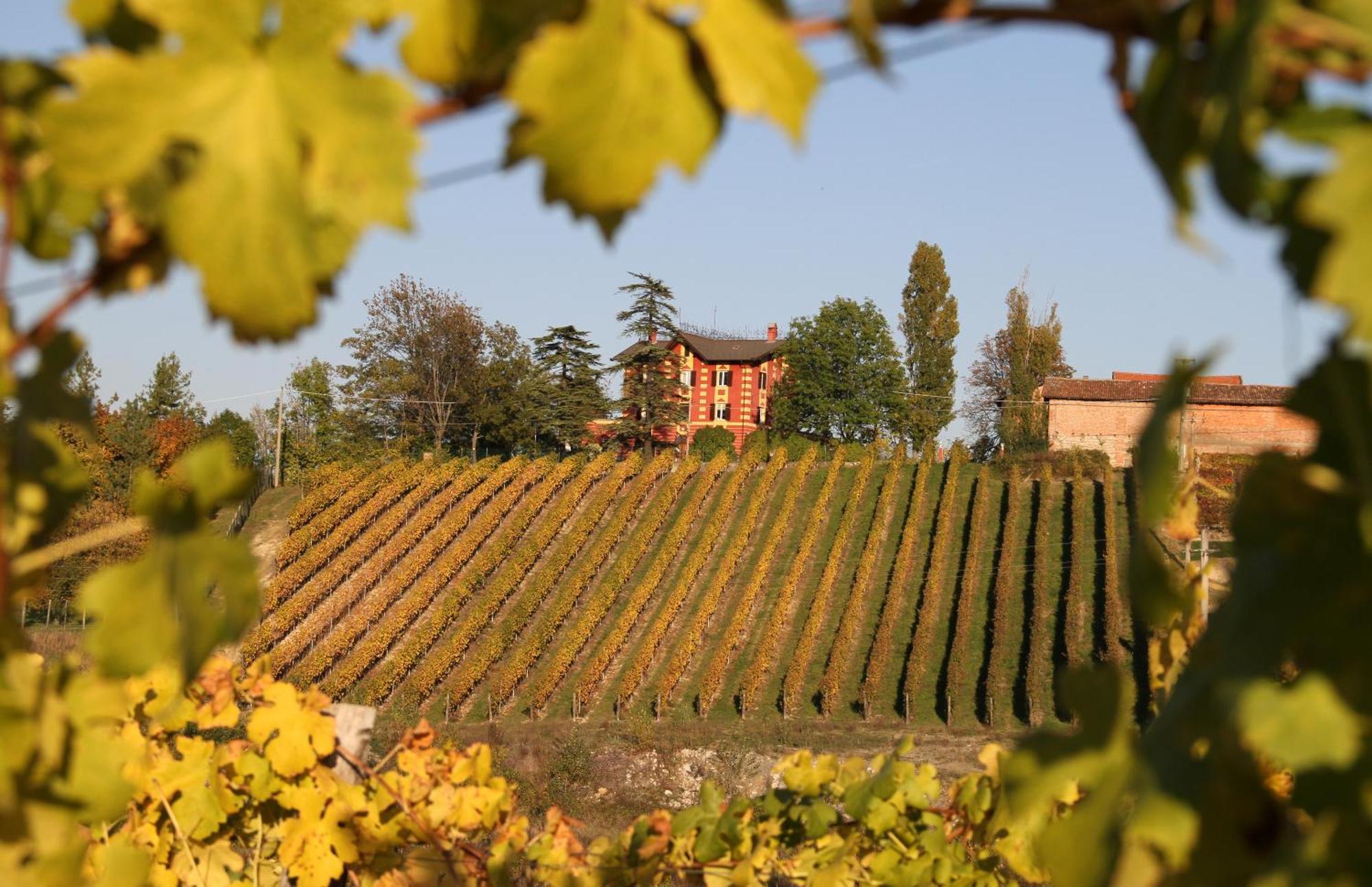 Villa Pallavicini B&B Serravalle Scrivia Kültér fotó